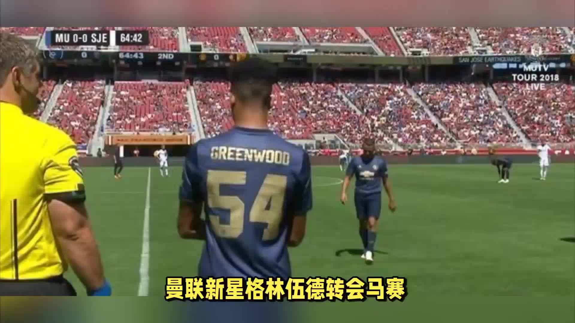 家团队